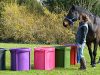 Natures Equine Ltd