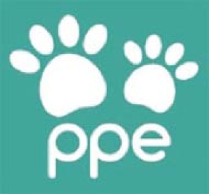 PP Enhancements Ltd