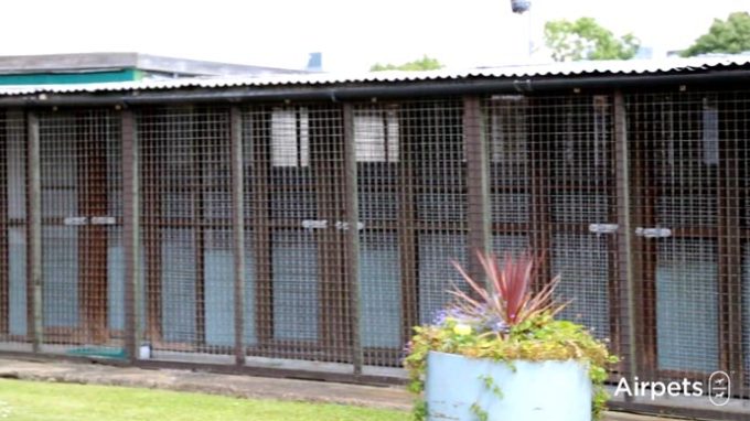 Airpets Ltd