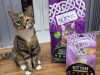 Burns Pet Nutrition 