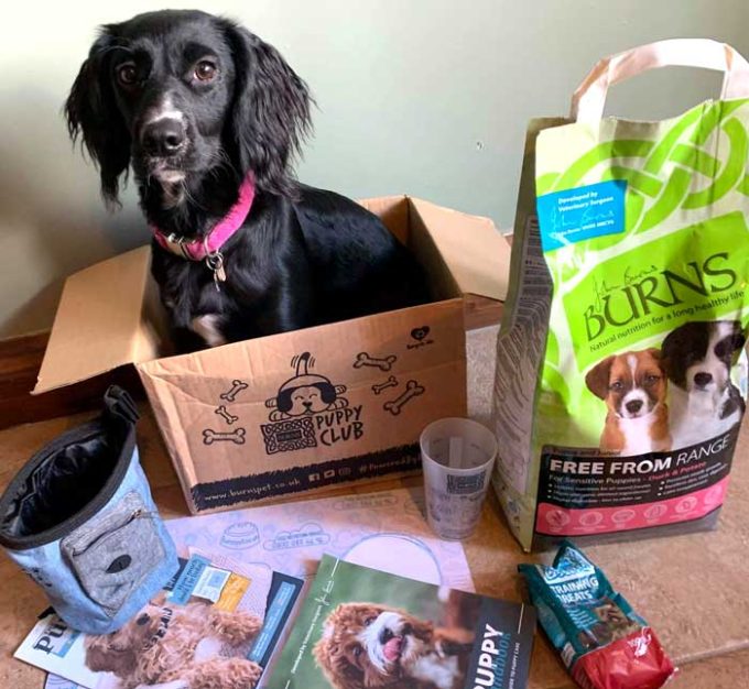 Burns Pet Nutrition 