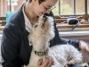 Housesit Match Ltd