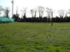 Manston Boarding Kennels & Cattery