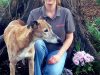 Petstay Norfolk