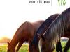 Ronfields Nutrition Ltd