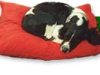 Kennel Mate
