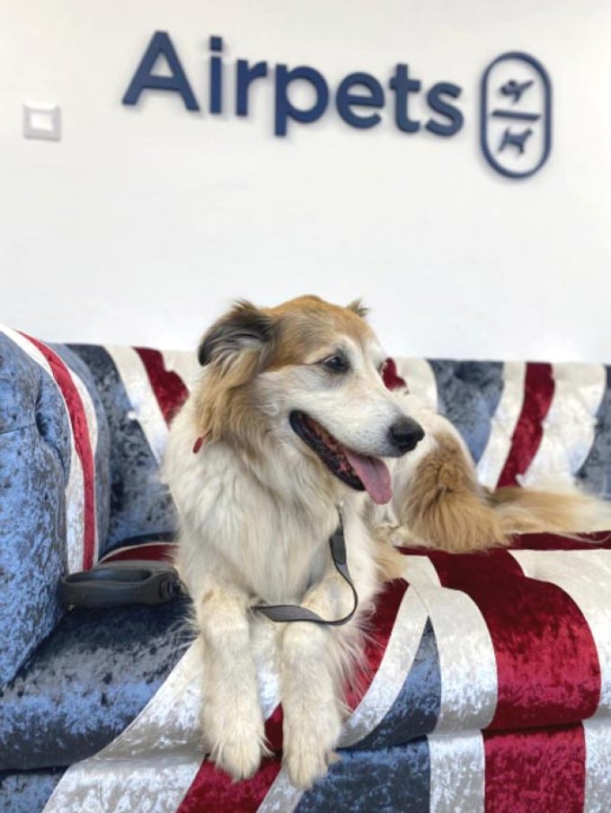 Airpets Ltd
