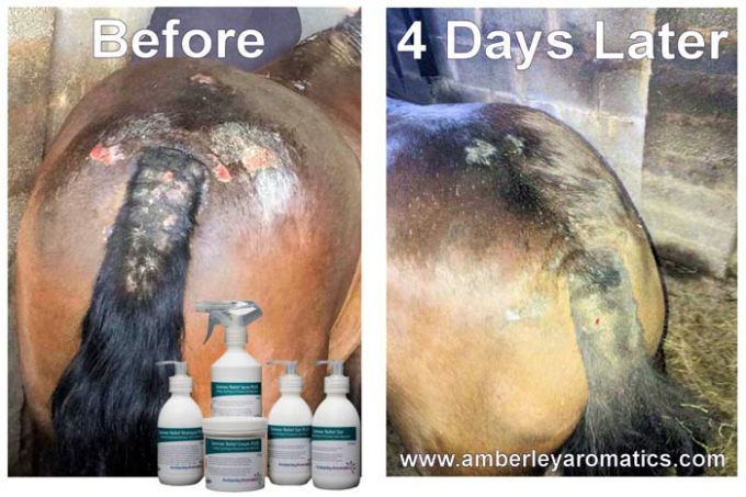 Amberley Aromatics