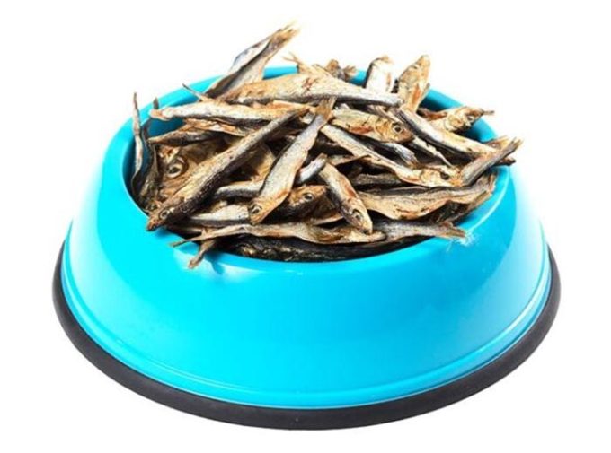 Bentley's Dog Food