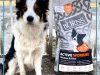 Burns Pet Nutrition 
