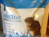 Collies Pet Food Supplies