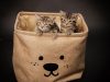 Destitute Animal Shelter