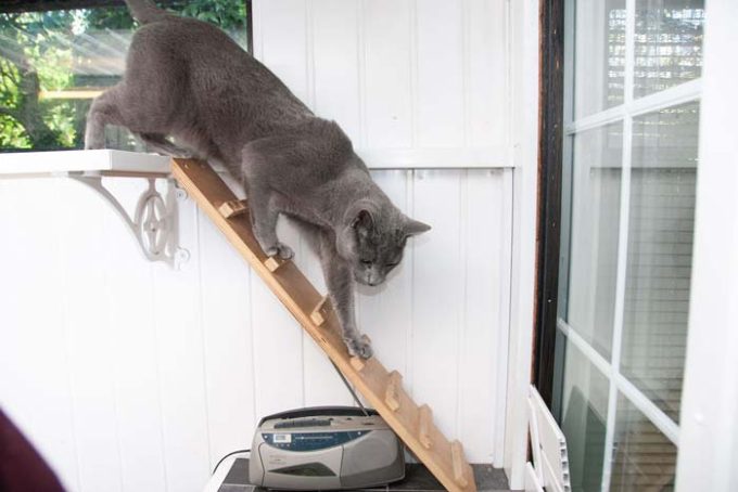 Mossdale Cat Boarding Kennels