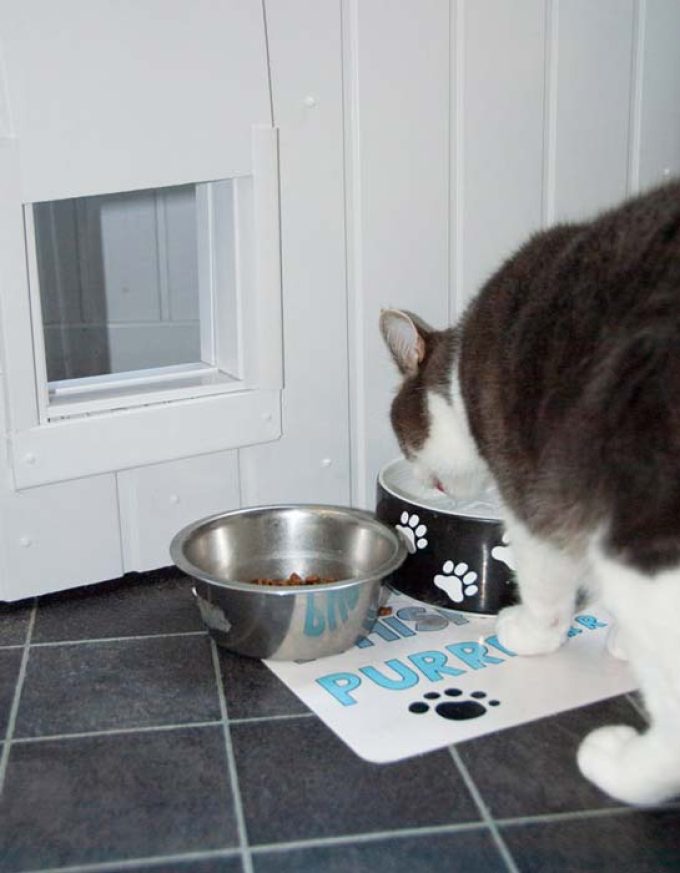 Mossdale Cat Boarding Kennels