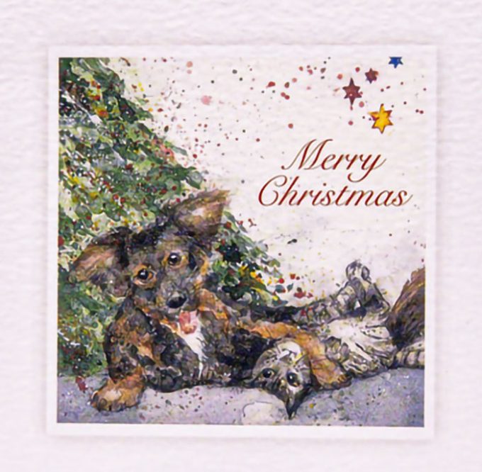 Sarah Brown Cards