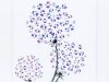 Sarah Brown Cards