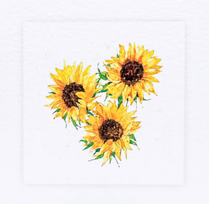 Sarah Brown Cards