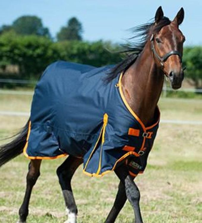 Smeeth Saddlery