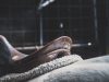 The Equine End of Life Service