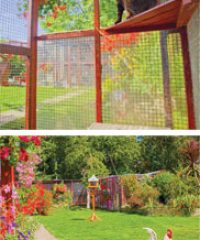 Comfy Cats Cattery