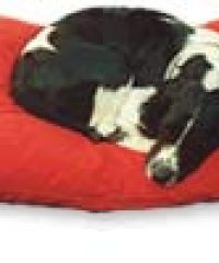Kennel Mate
