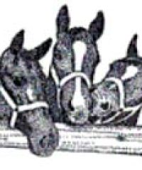 Old Barn Stables