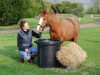 Natures Equine Ltd