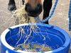 Natures Equine Ltd