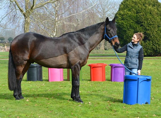 Natures Equine Ltd