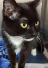 Animals In Distress Sanctuary