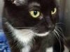 Animals In Distress Sanctuary