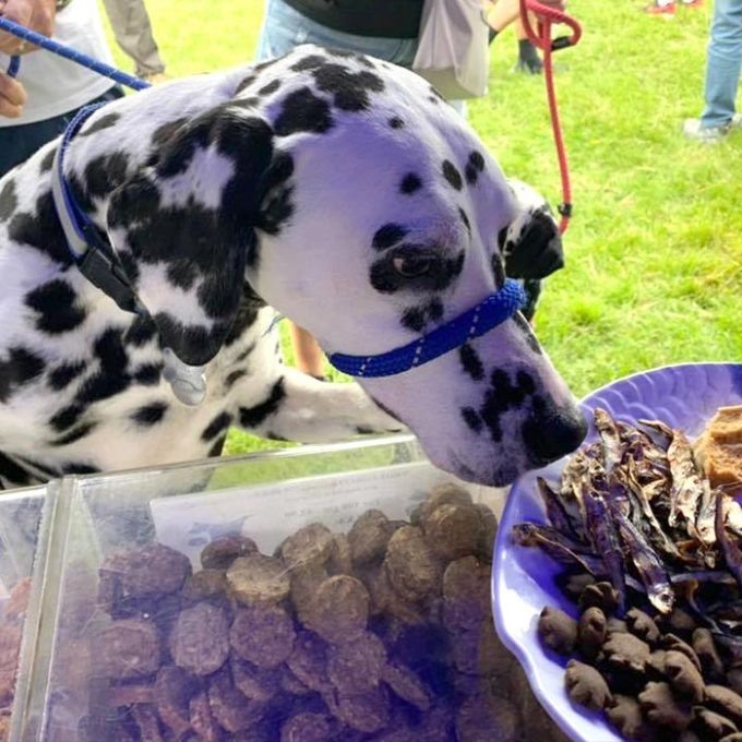 Bentley's Dog Food