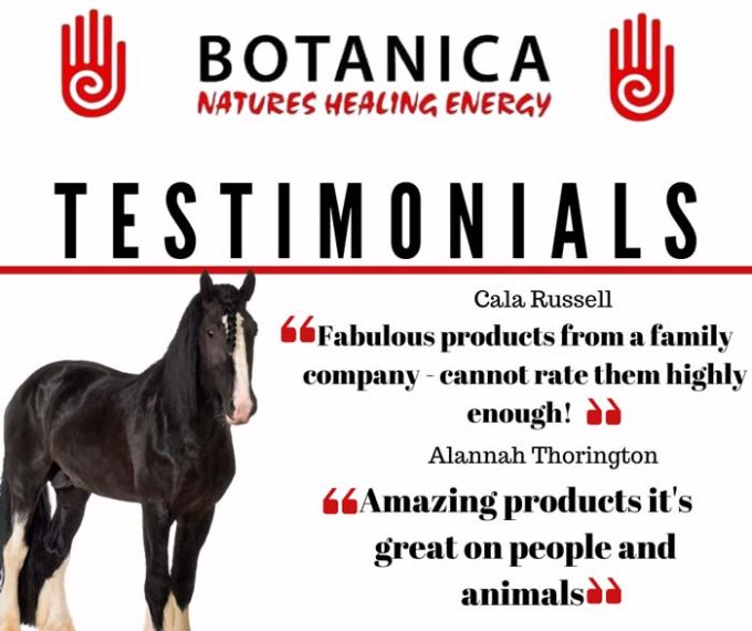Botanica International Ltd
