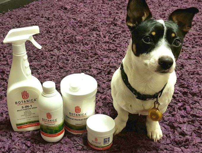 Botanica International Ltd