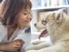  Happi Tails Home & Pet Sitting Services