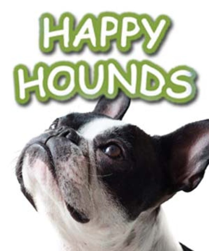 Happy Hounds (Islington)