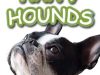 Happy Hounds (Islington)