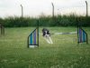 Naylor Agility