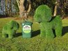 Pet Waste Solutions