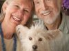 PetStay Norfolk