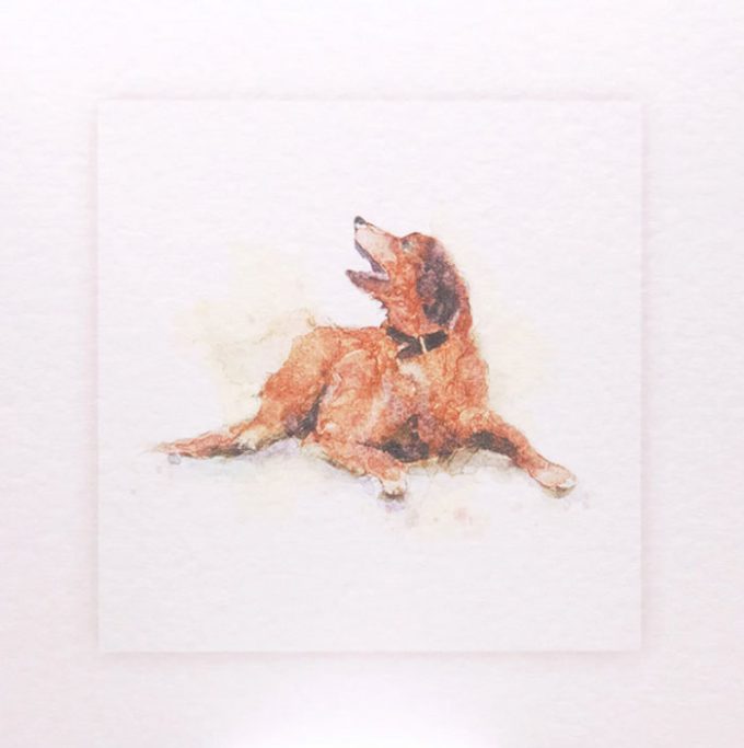 Sarah Brown Cards