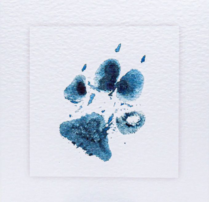 Sarah Brown Cards