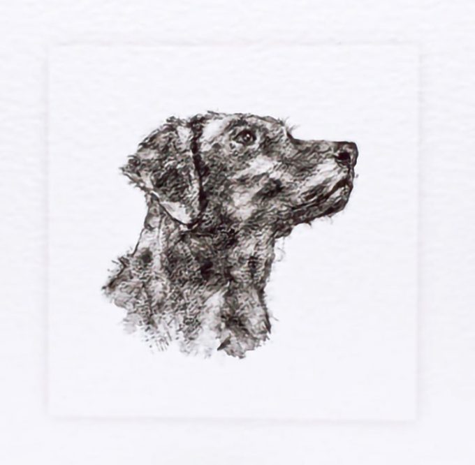 Sarah Brown Cards