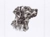 Sarah Brown Cards