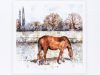 Sarah Brown Cards