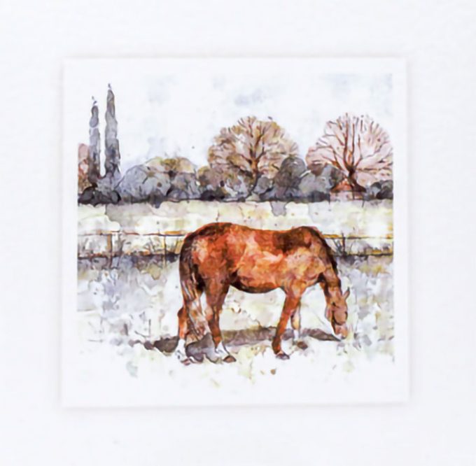 Sarah Brown Cards