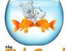 The Fish Bowl Ltd