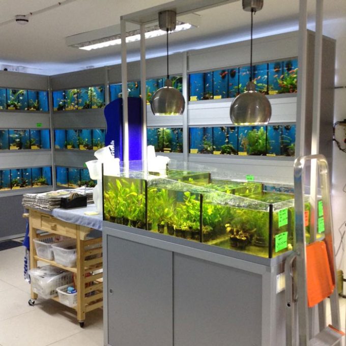 The Fish Bowl Ltd