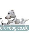 D For Dog